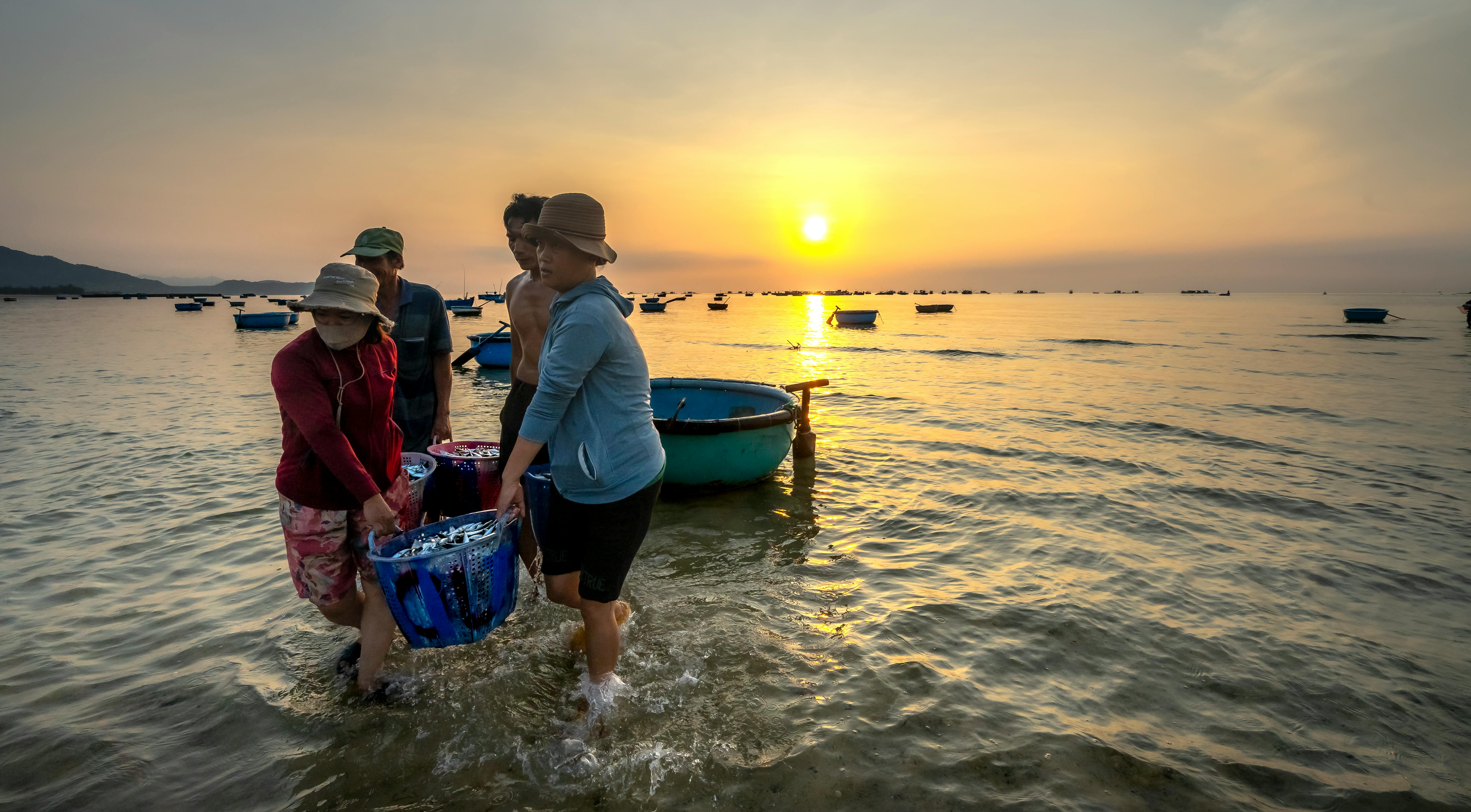 Fishing crew carrying catch in baskets at sunrise. Idyllic morning in coastal waters.