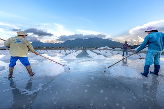 Salt harvesters work diligently in a stunning mountain setting, reflecting the dedication to traditional methods.