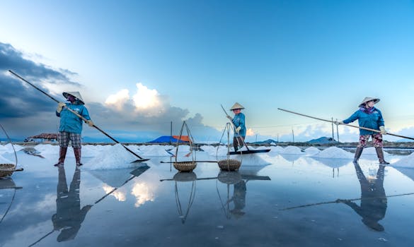 Three farmers harvest salt in reflective water fields during sunrise in Vietnam.