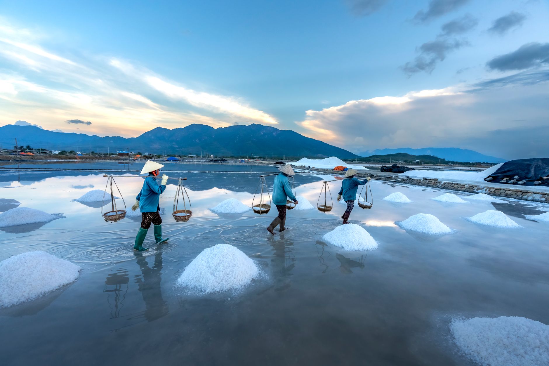 Người lao động tìm kiếm cơ hội toàn cầu