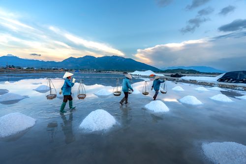 Free Three salt farmers collecting salt in Vietnam at sunrise. Stock Photo