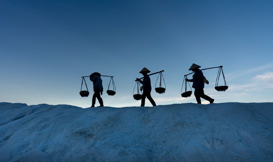 The Human Cost of Salt: A Look into India's Salt Workers
