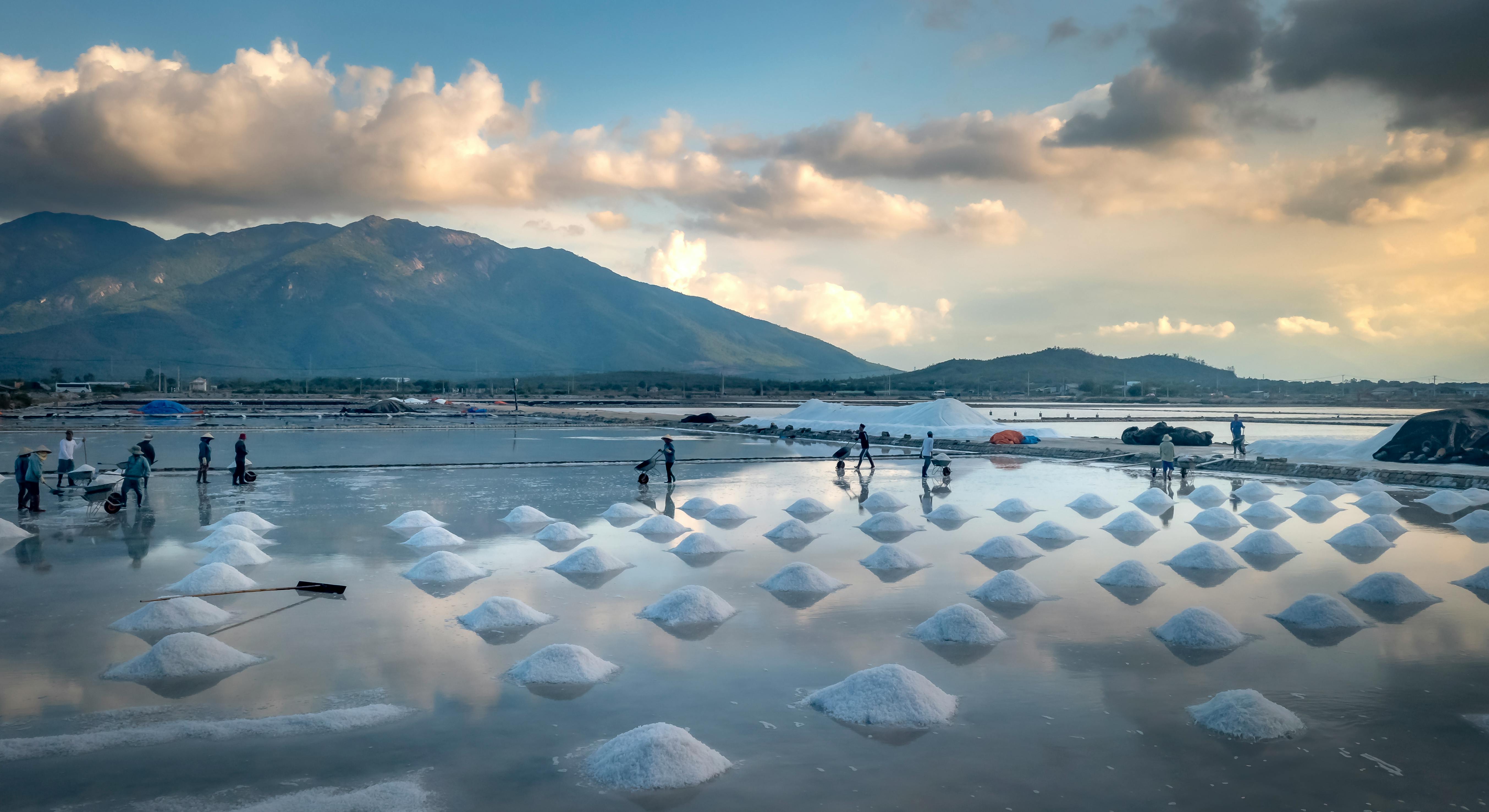 Training Program for Business Case Writing