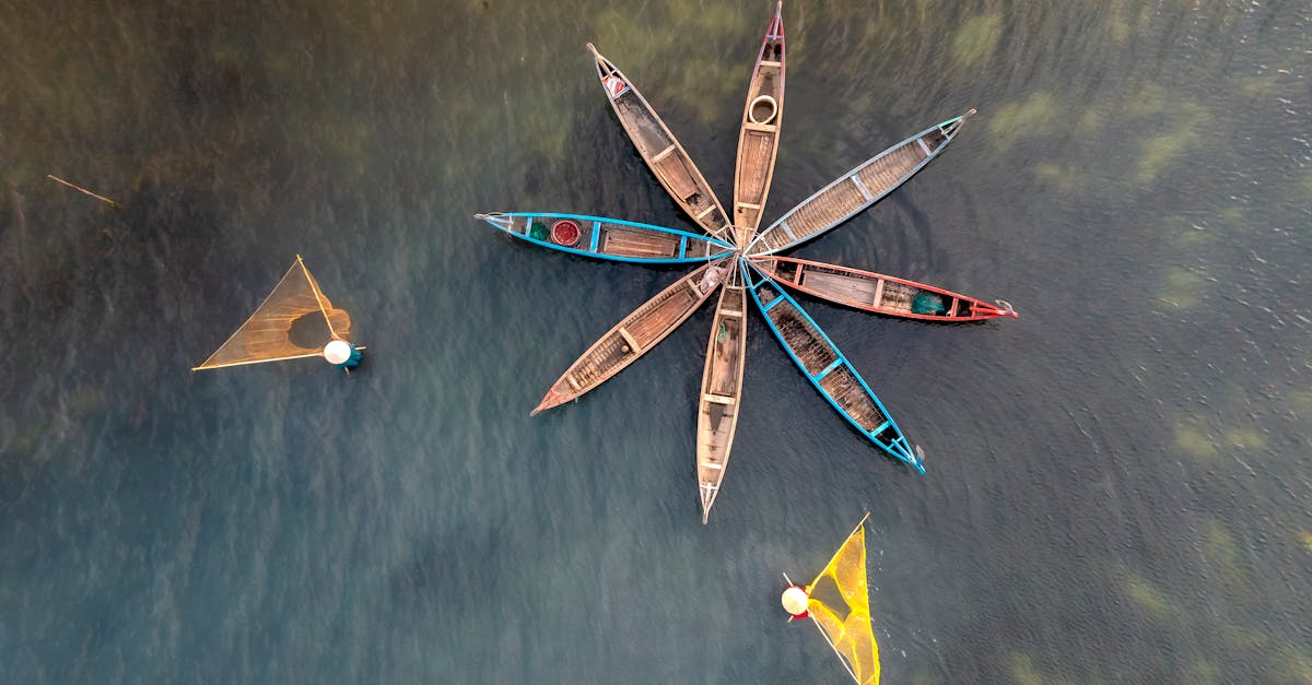 How Lake Fishing Is Evolving in the Current Climate