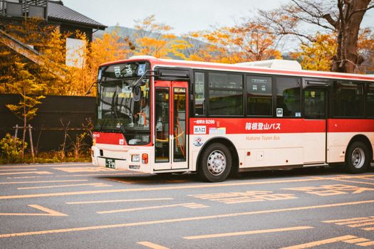 Hakone ryokan overnight with onsen — Tokyo
