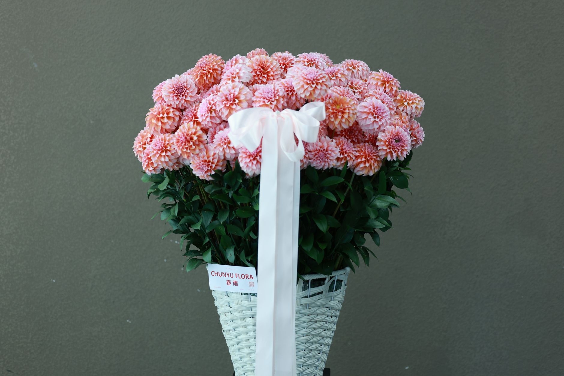 Vibrant pink chrysanthemums in a white basket with a bow, perfect for gift or decor.