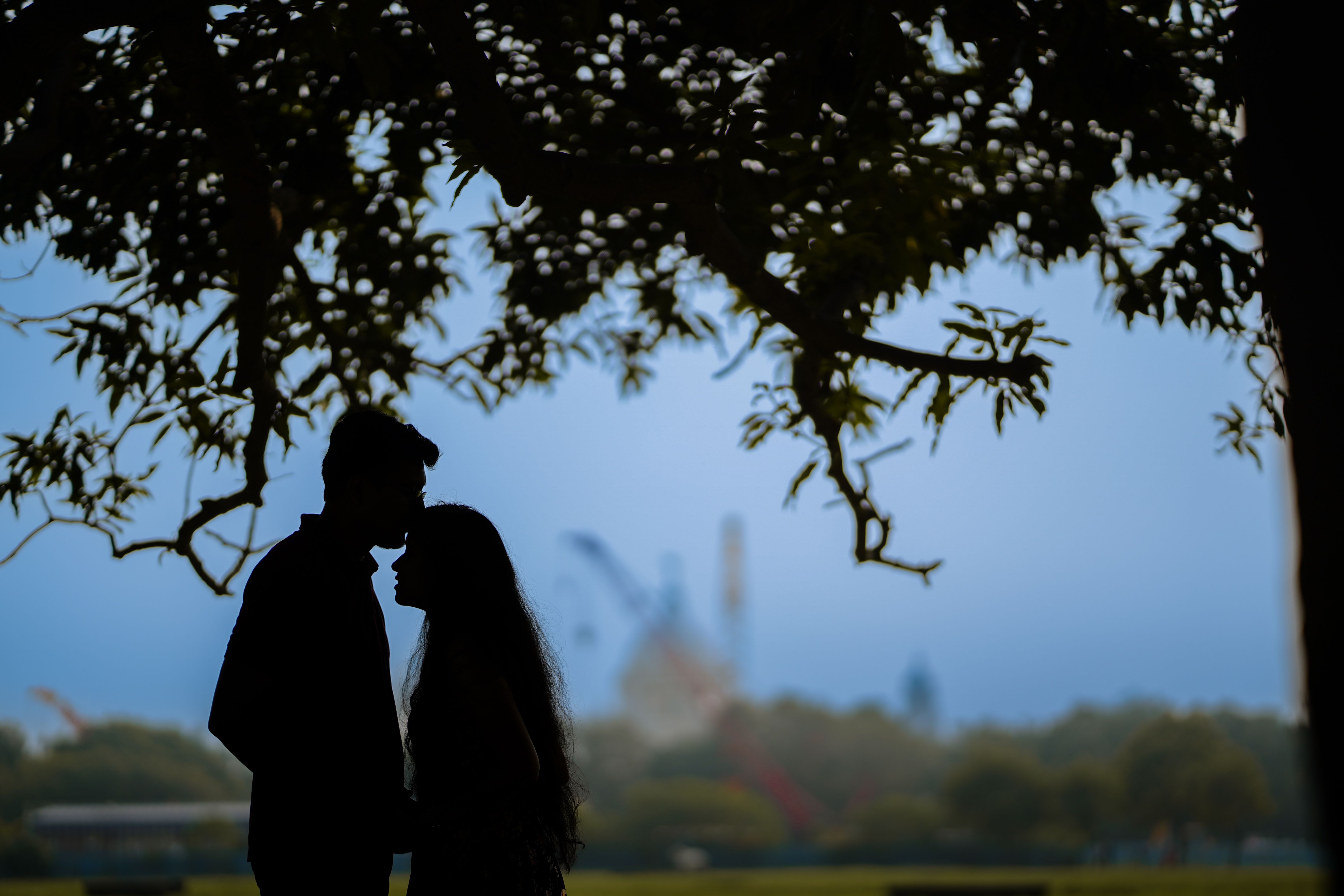 Romantic Silhouette of Couple Under Tree · Free Stock Photo
