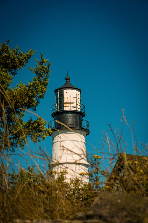 Free A scenic view of a historic lighthouse surrounded by foliage under a clear blue sky. Stock Photo