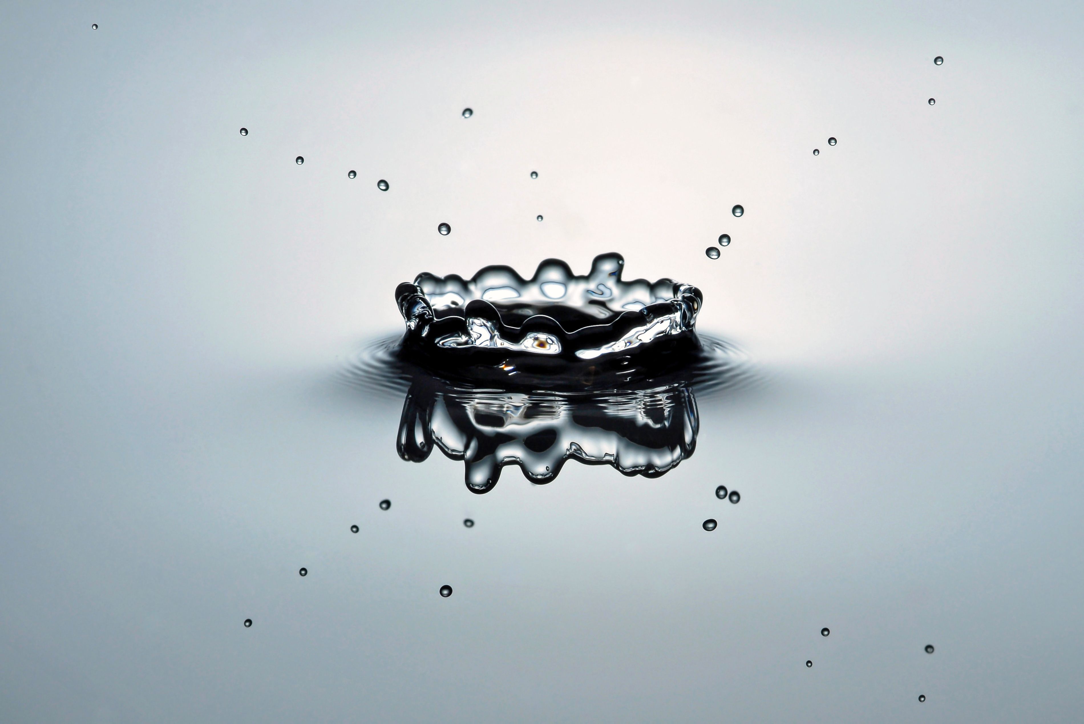 Macro Water Droplet Splash in High Detail · Free Stock Photo