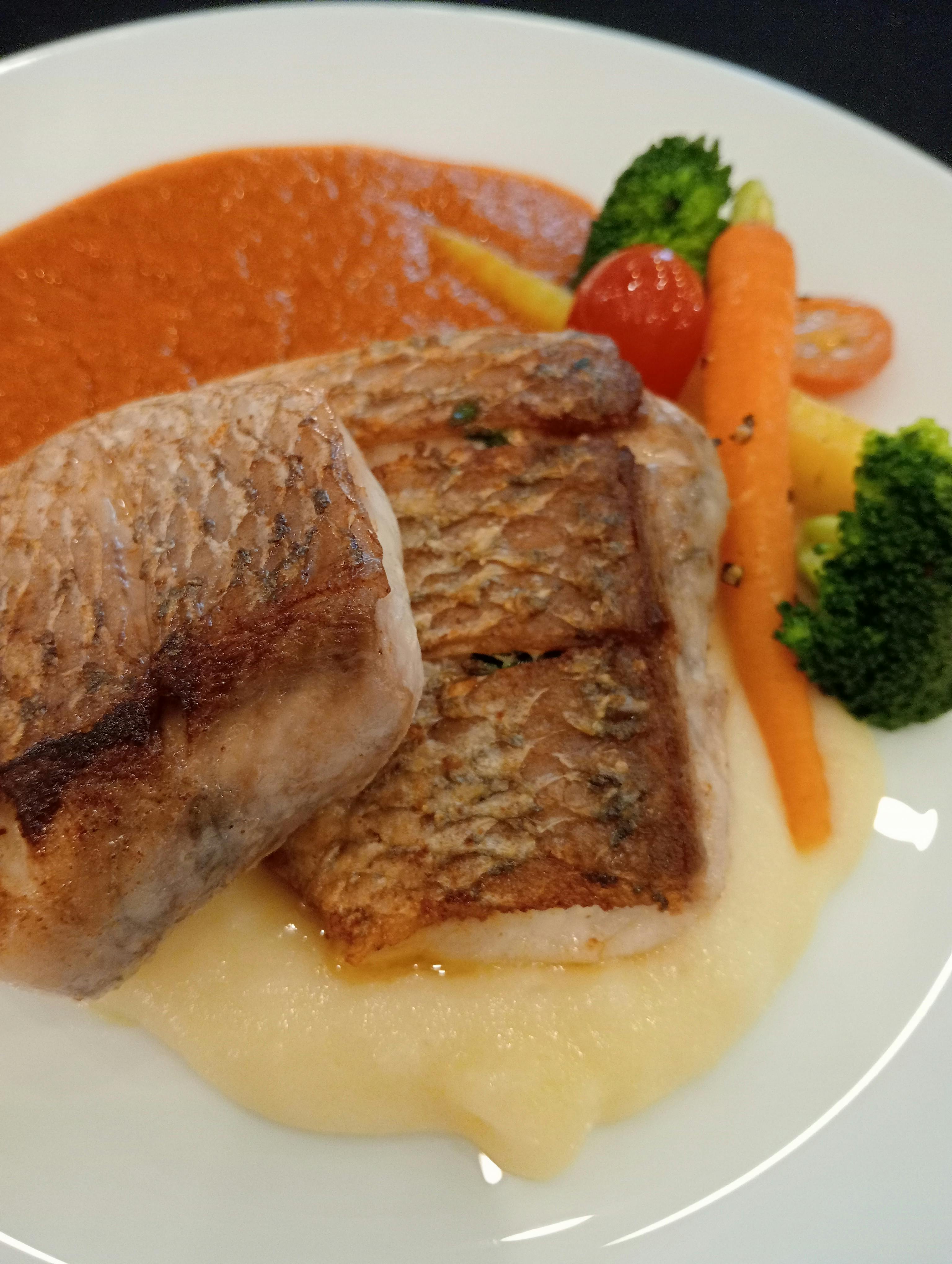 디시 사용자 추천