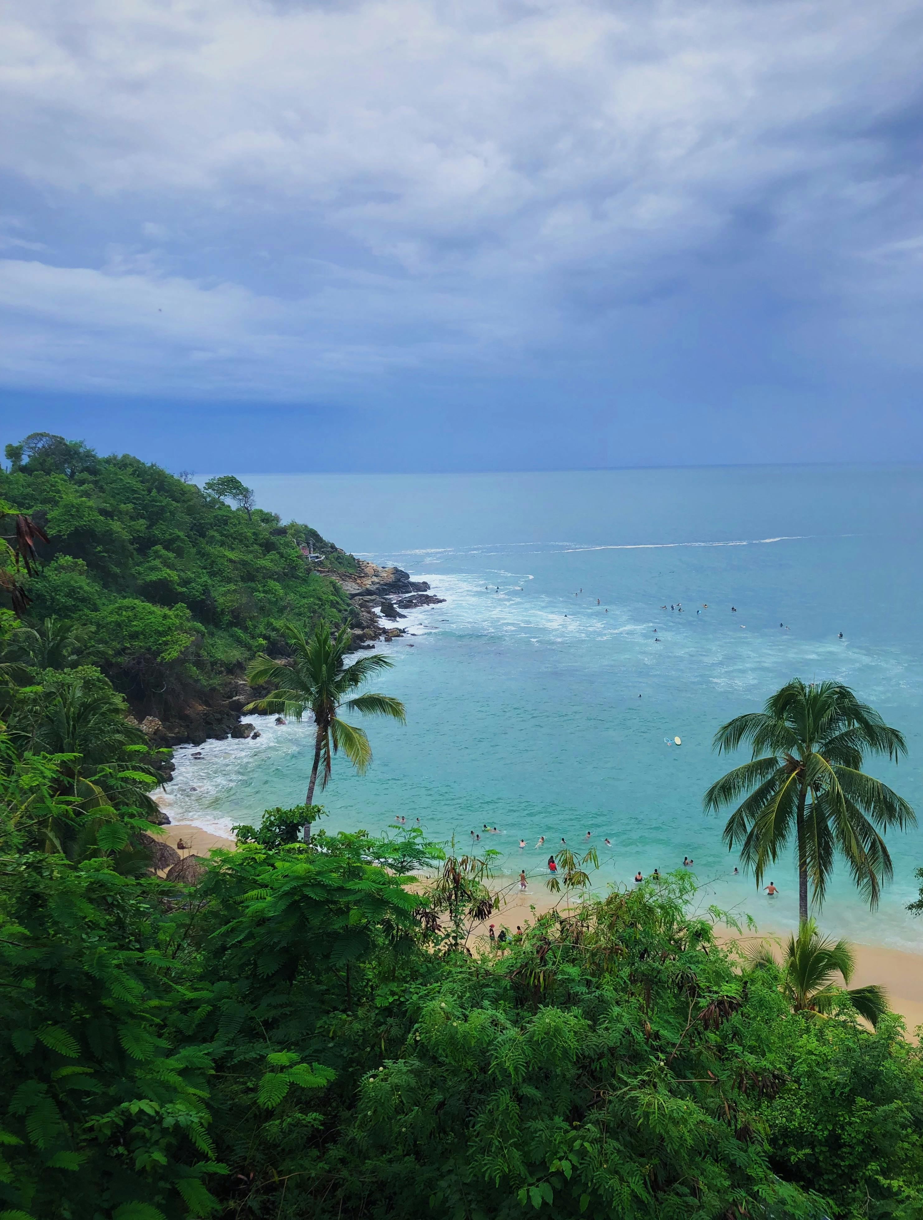 Vibrant view of a tropical beach surrounded by lush greenery in Puerto Escondido, Mexico.