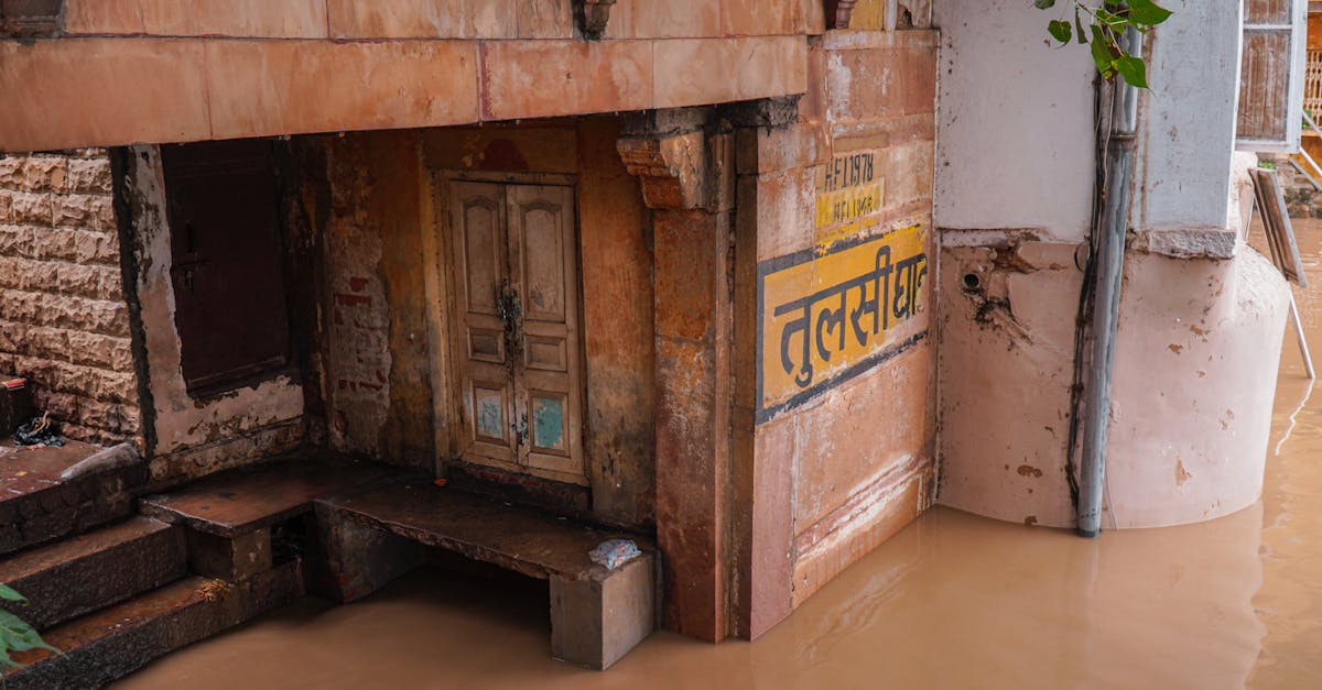 救災重建不停歇 民進黨南市黨部持續守護弱勢受災戶