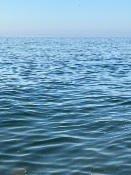 Free Serene ocean view on a sunny day with calm water and gentle ripples. Stock Photo