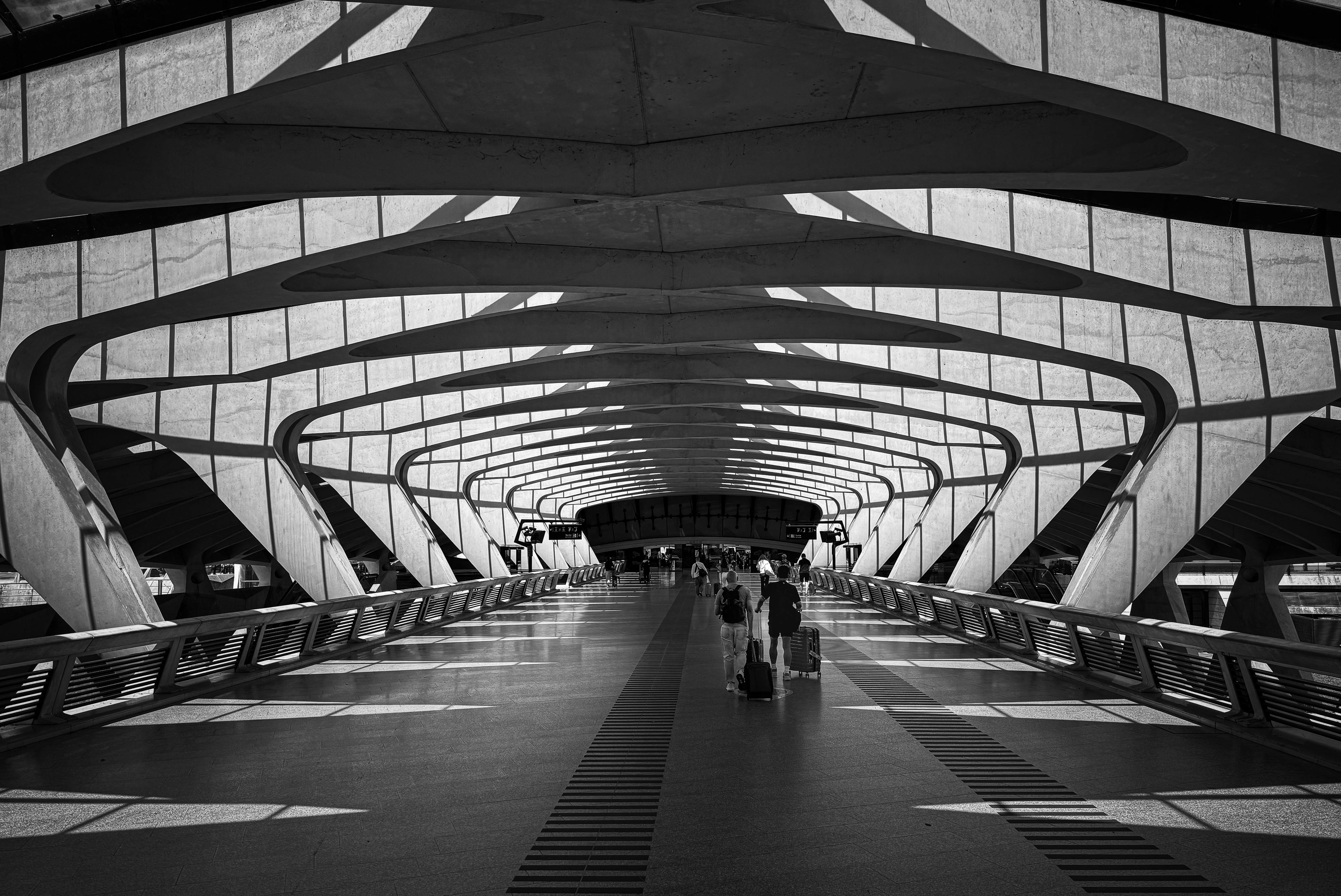 Black and white view of modern arched architecture in Lyon train station, France.