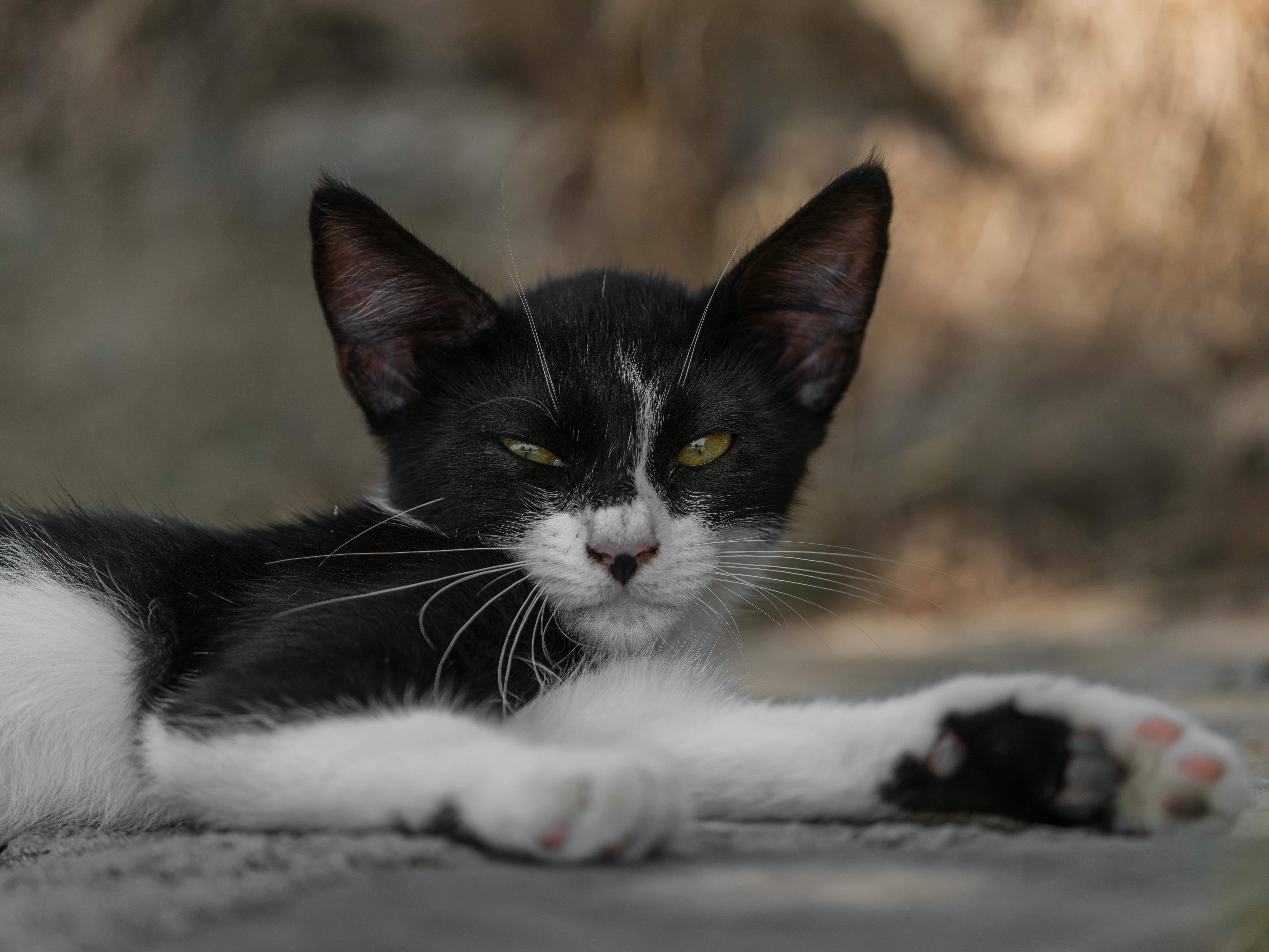 Project Management Crash Course