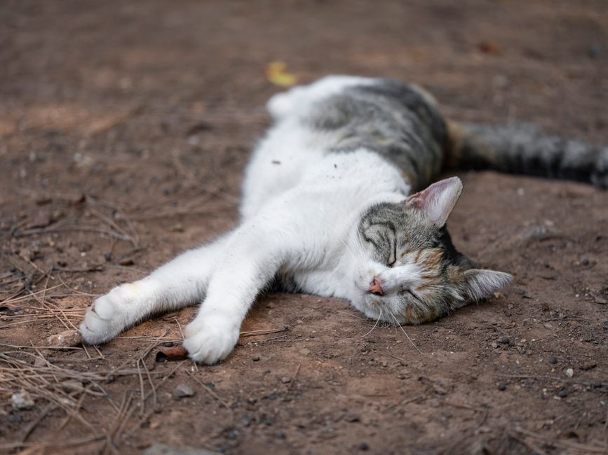 Accommodation Options: Where to Rest Your Head Accommodation Options: Where to Rest Your Head