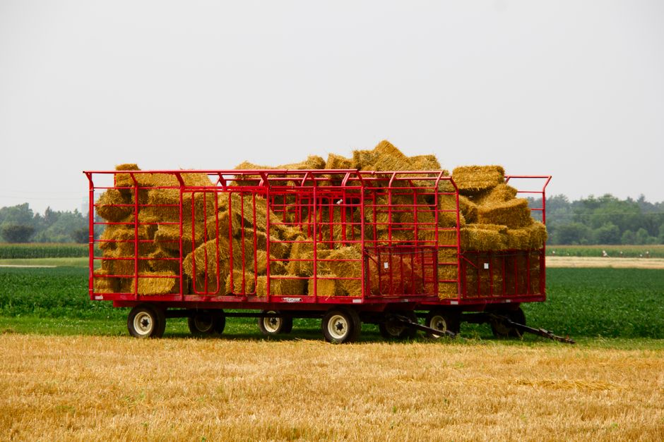 Quebec's Farm Fuel Rebate Has Ottawa Valley Farmers Paying Attention