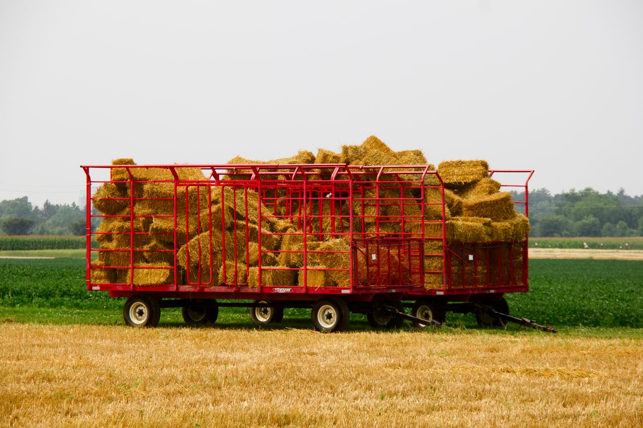 A red wagon loaded with hay bales sits on a sunny farm field