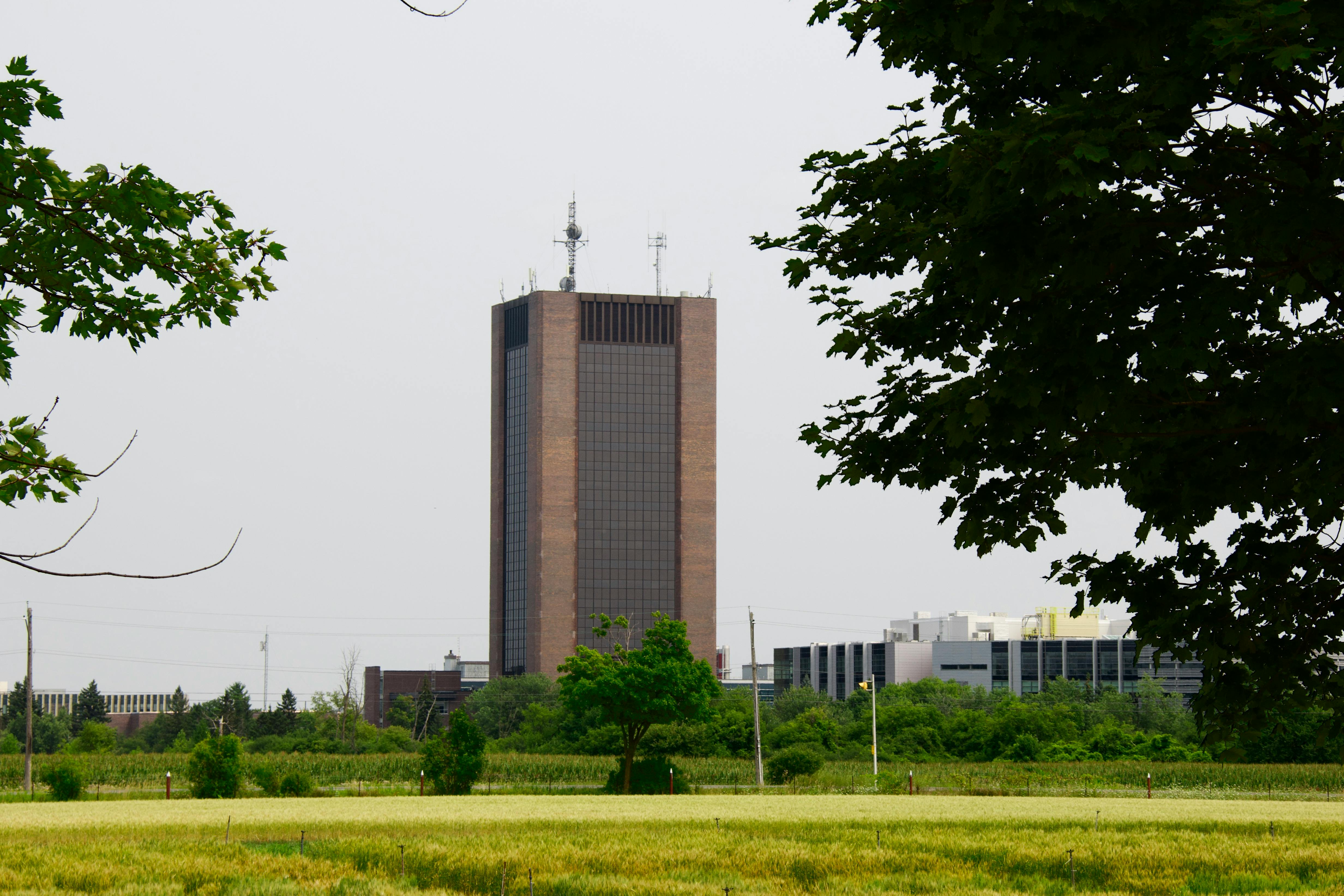 Stark County Job &amp; Family Services to hold foster parenting meetings — Photo by Leif Olson on Pexels
