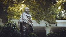 Bronze statue of Mahatma Gandhi surrounded by greenery in a serene garden in Delhi, India.