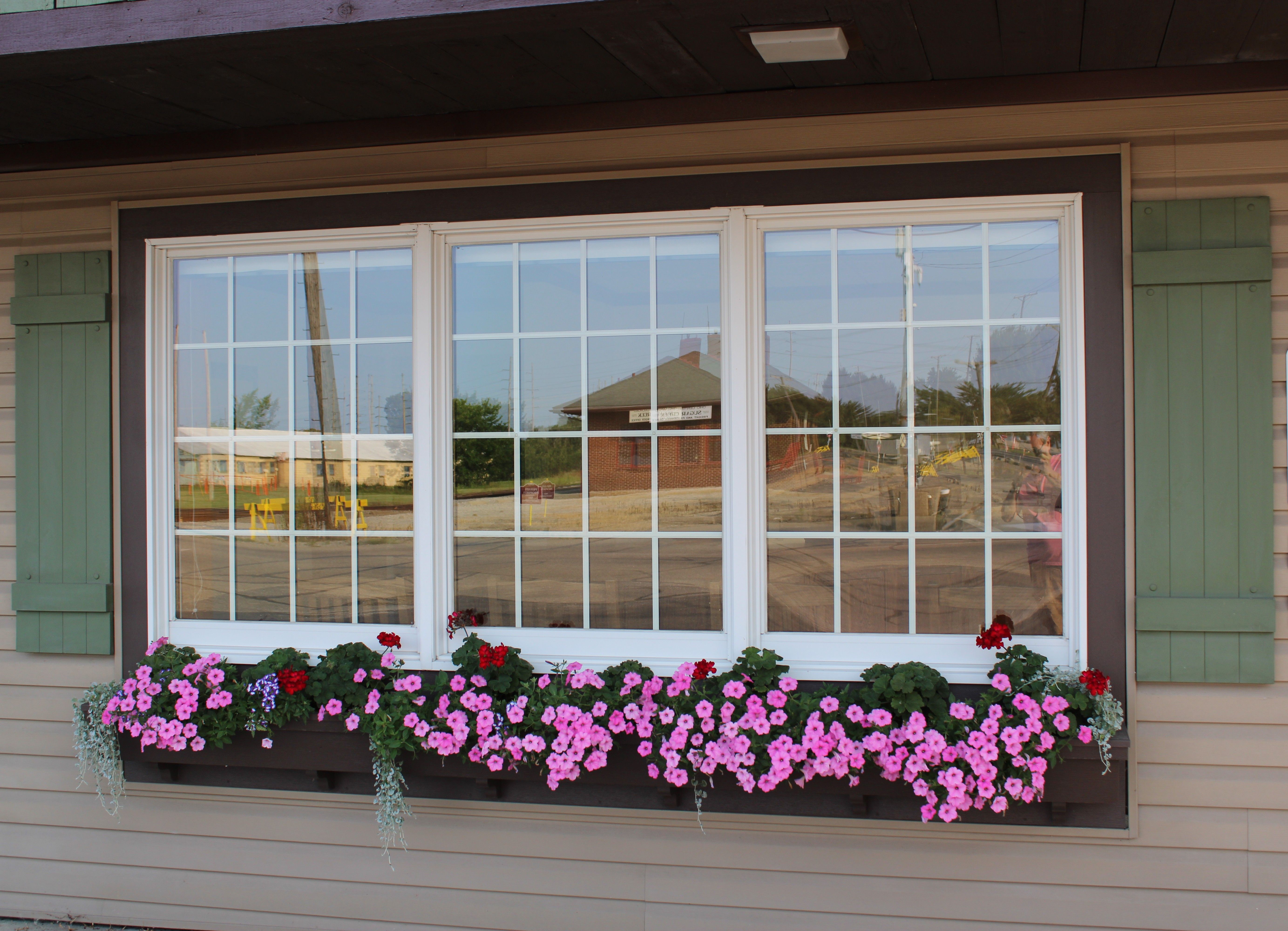 How to Plant a Window Box Garden: A Step-by-Step Guide