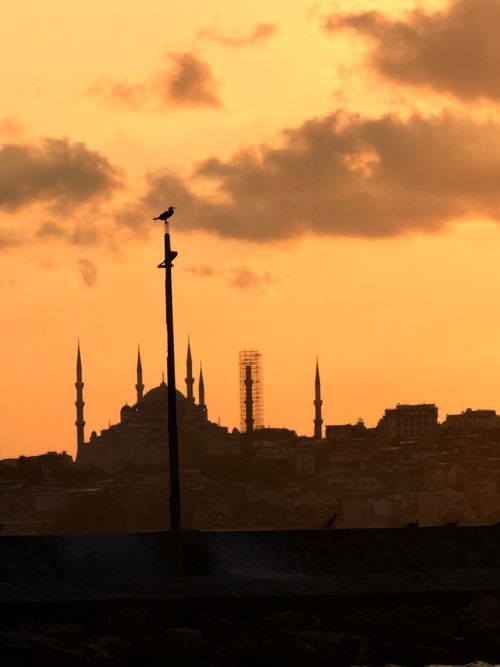 Free Silhouette of Istanbul's skyline with mosques at sunset, evoking serene beauty. Stock Photo