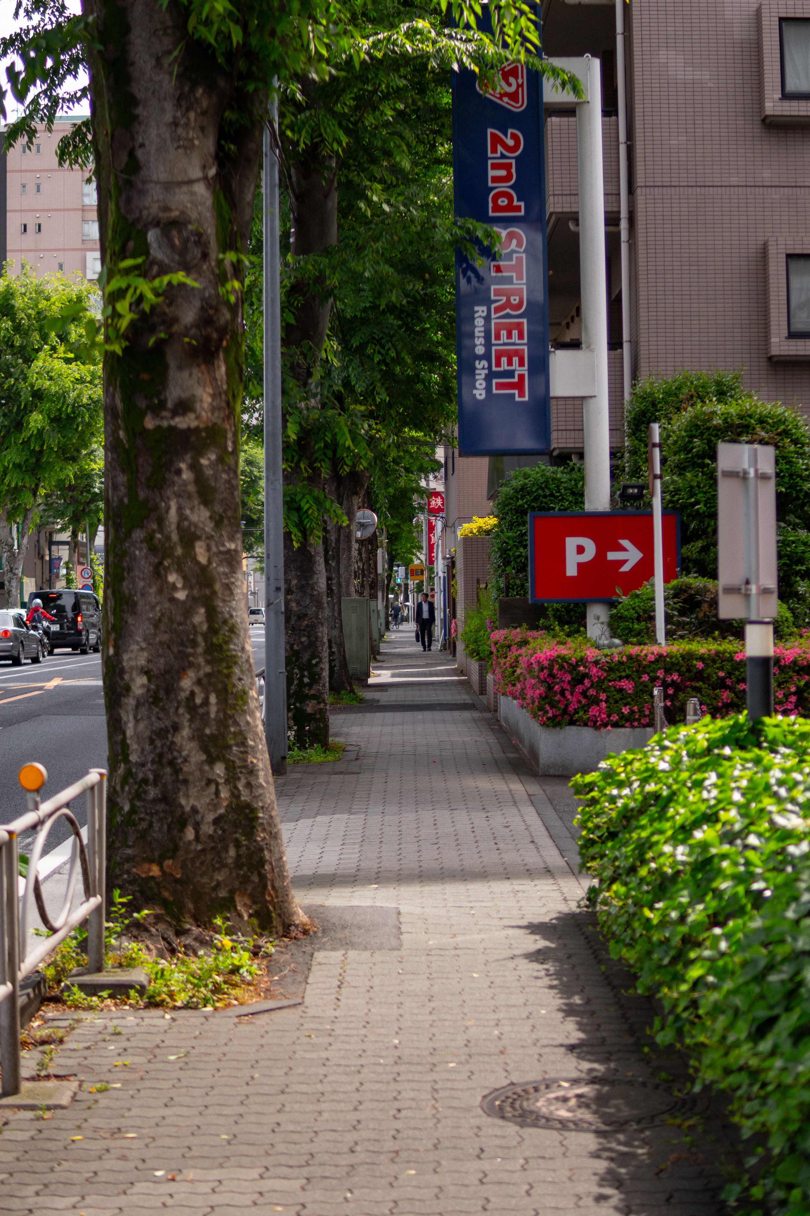 Jozenji-dori Avenue