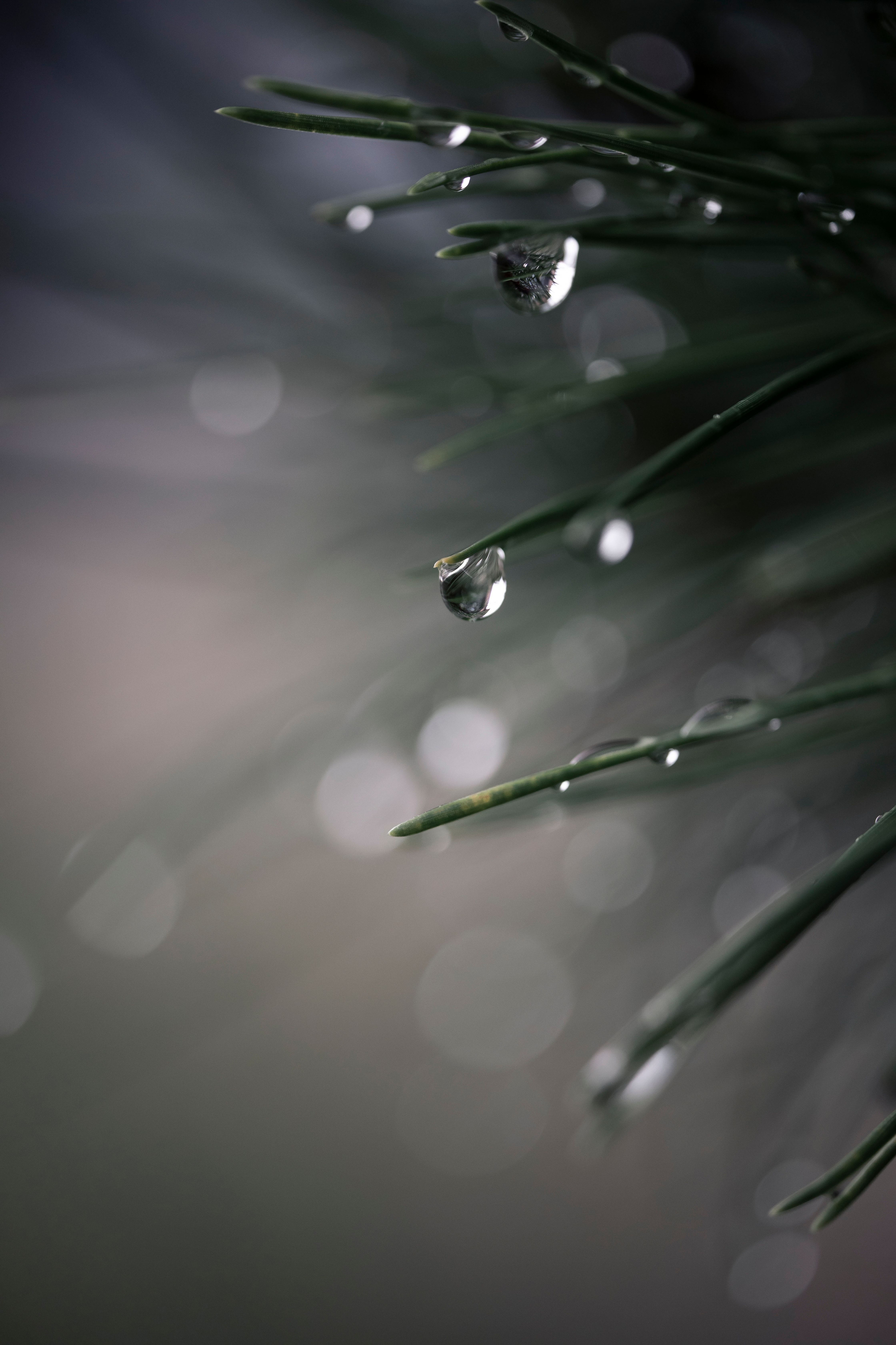 Calming Photos, Download The BEST Free Calming Stock Photos & HD Images