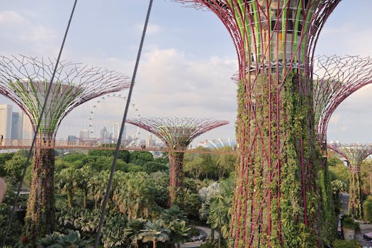 Breathtaking view of Supertree Grove in Singapore's Gardens by the Bay with city skyline backdrop.