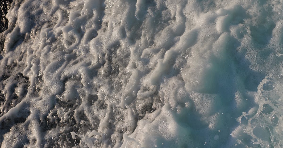 生活特輯 世博生技 活麗+瑪卡 全方位能量補給 助您告別疲憊 迎接精彩人生