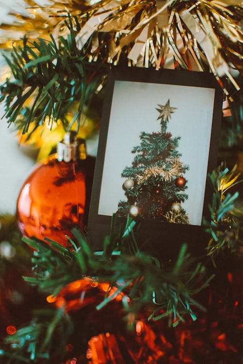 Photo En Gros Plan De L'arbre De Noël Sur La Photo