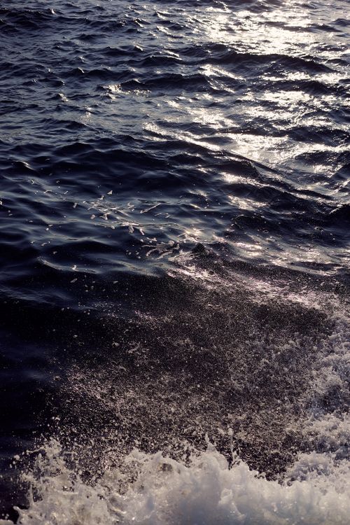 Free Dynamic ocean waves glittering in sunlight capture the essence of nature's beauty and motion. Stock Photo