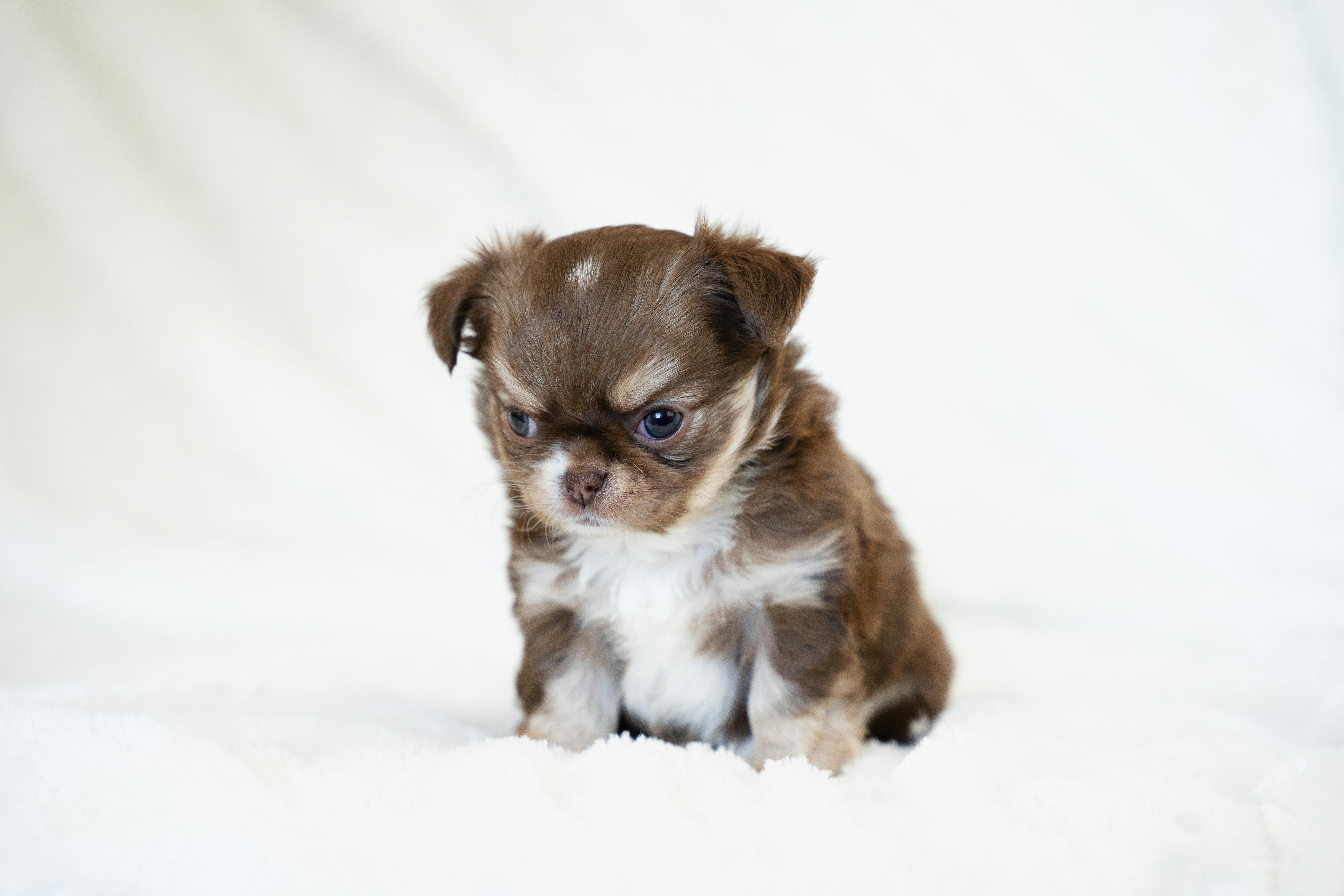 Landmarks in Chihuahua