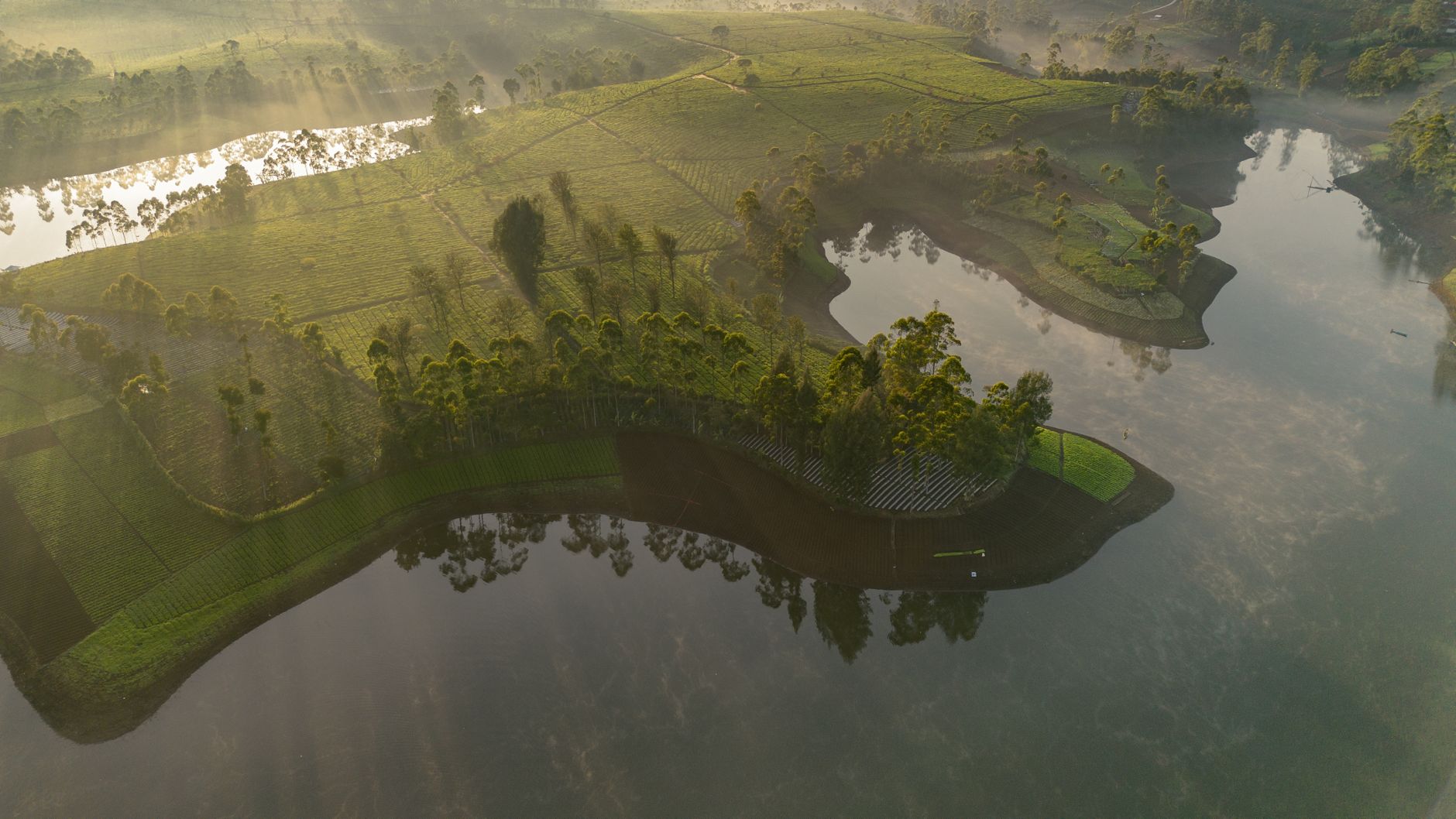 Stunning aerial photo of a tea plantation in Indonesia at dawn, featuring lush greenery and mist.