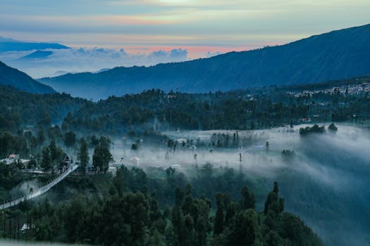 Serene misty landscape captured at dawn with lush mountains and forest.