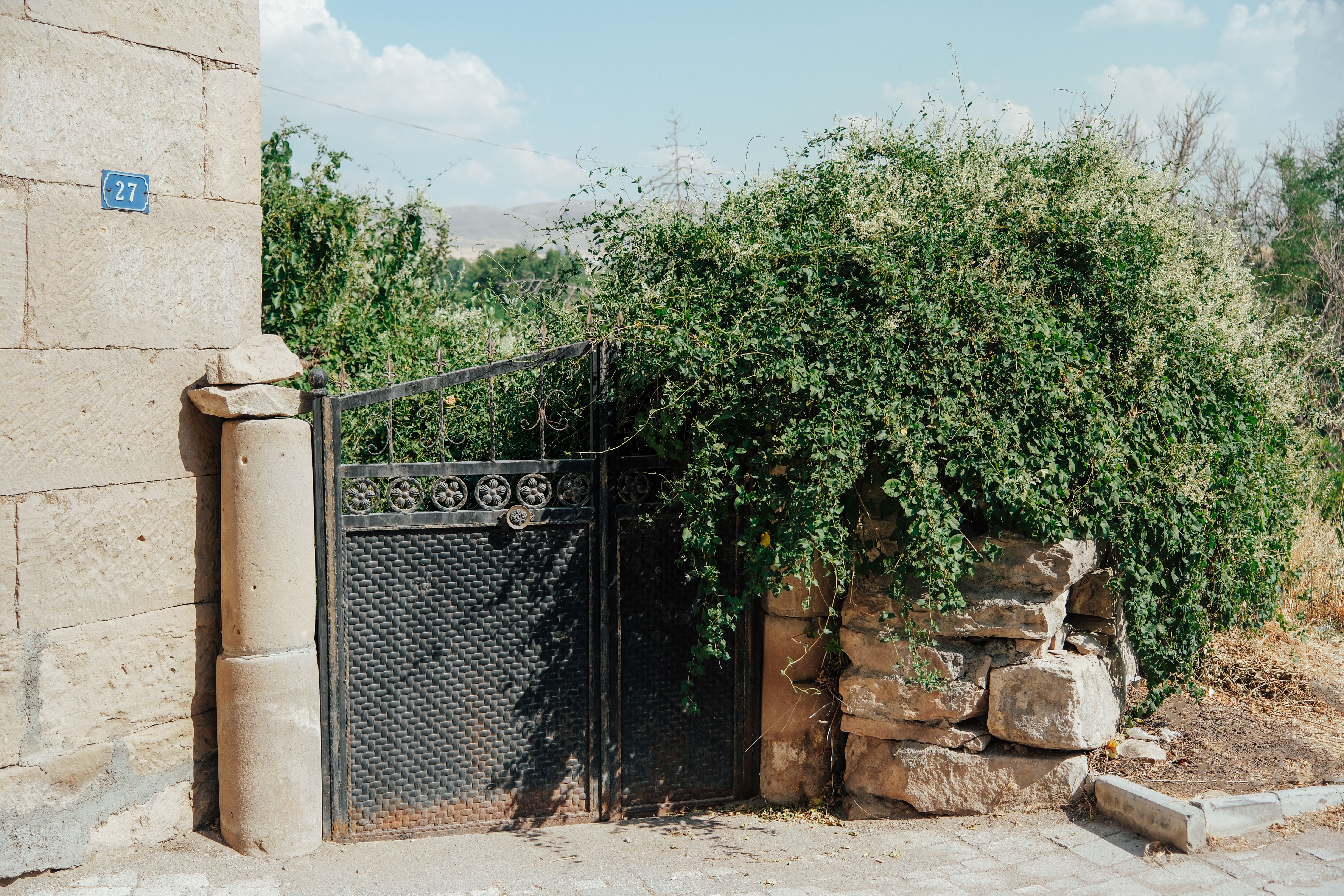 A charming rustic gate and stone wall engulfed in greenery under a clear blue sky.