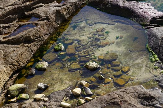A clear tide pool with rocks and algae illuminated by sunlight, perfect for nature-themed projects.. pexels, clear, tide