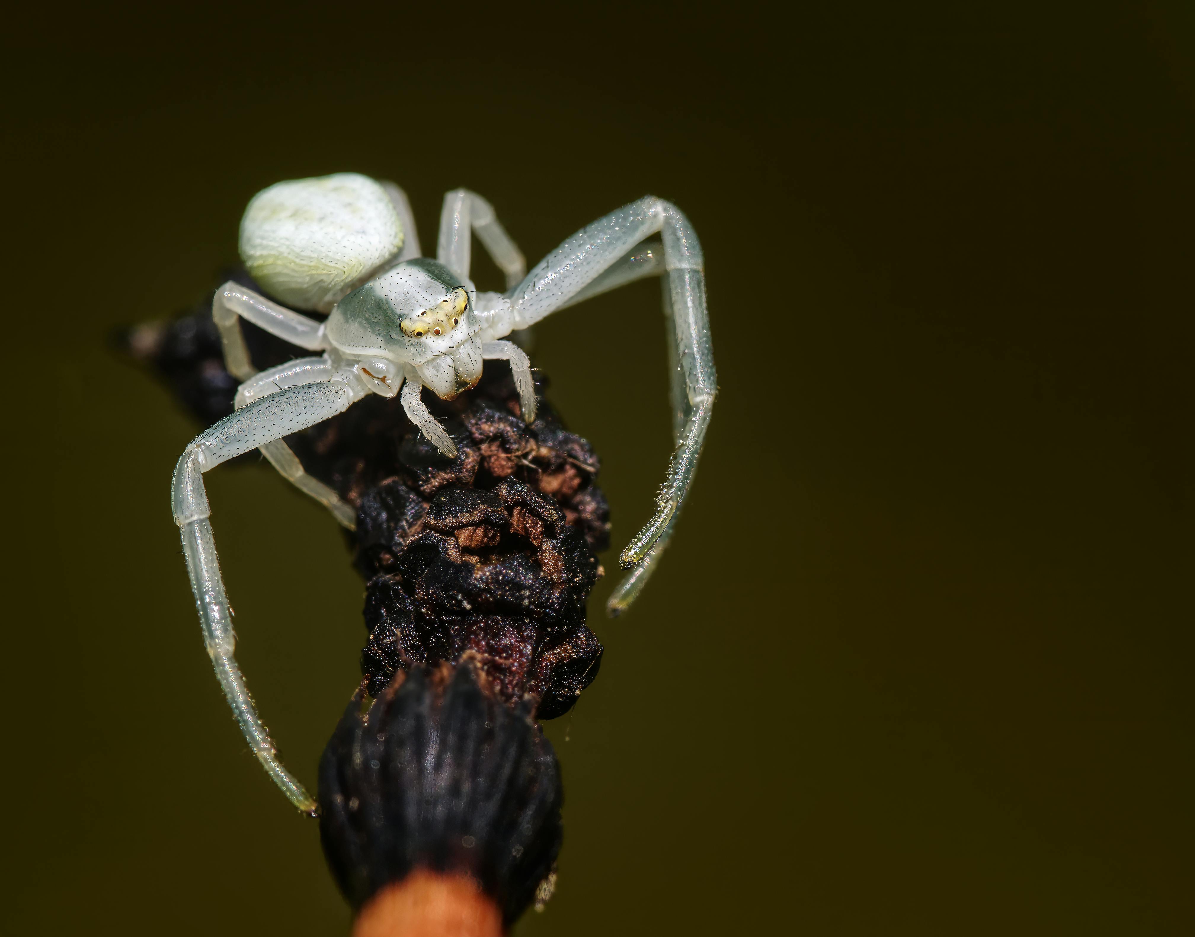 améliorer votre objectifs