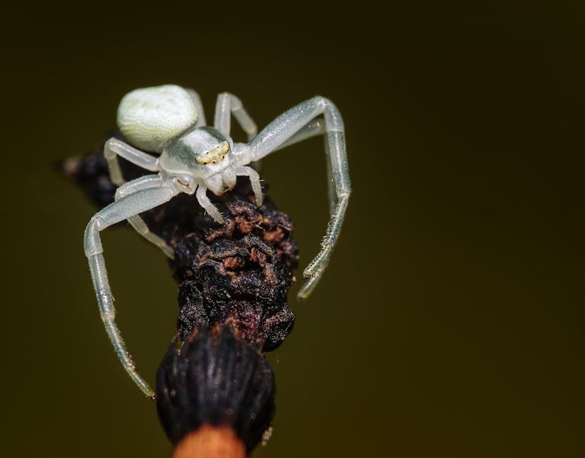 améliorer votre objectifs
