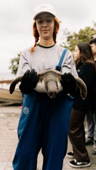 A young woman in blue overalls holds a sea turtle during a conservation event.