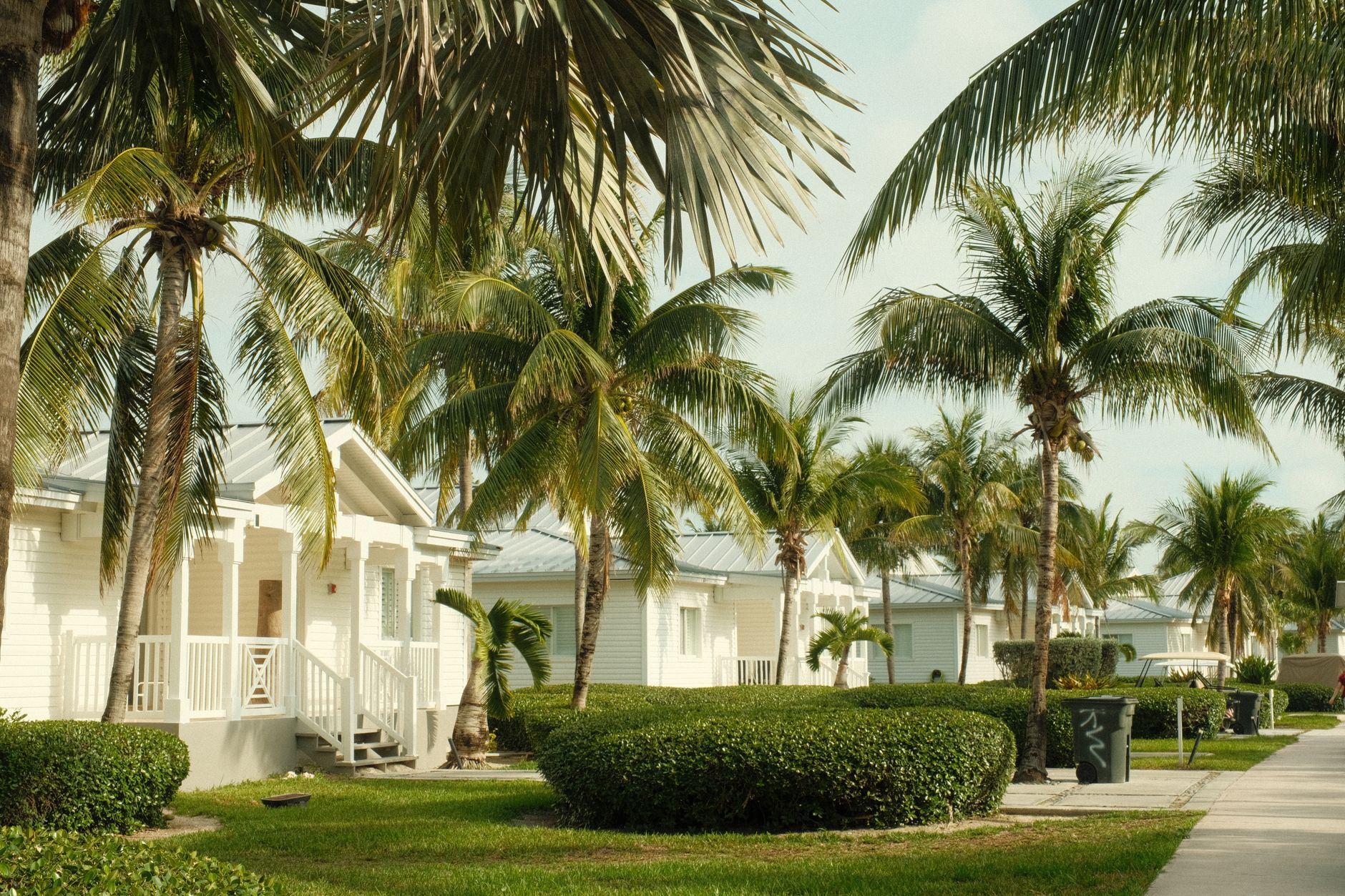 Charming coastal resort houses and palm trees in Bahamas, capturing island serenity.