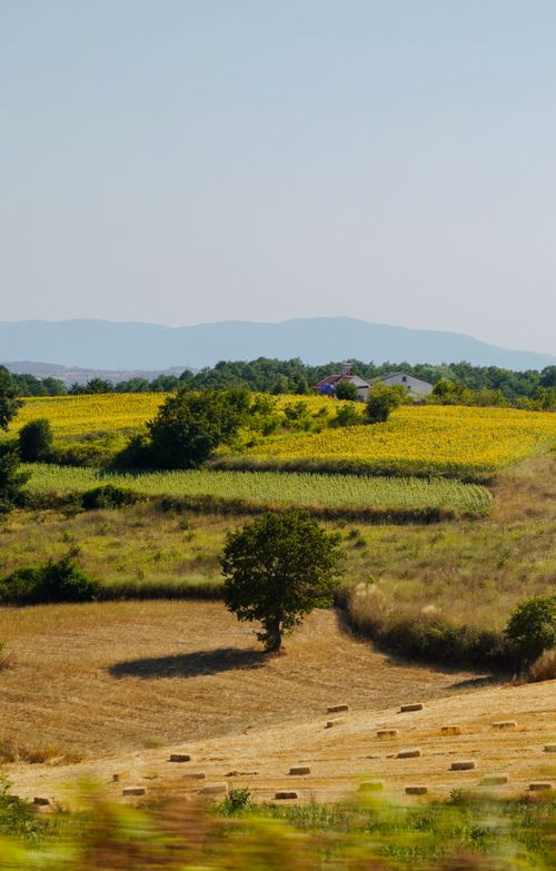 Free A picturesque summer landscape featuring rolling fields and distant hills under a clear sky. Stock Photo