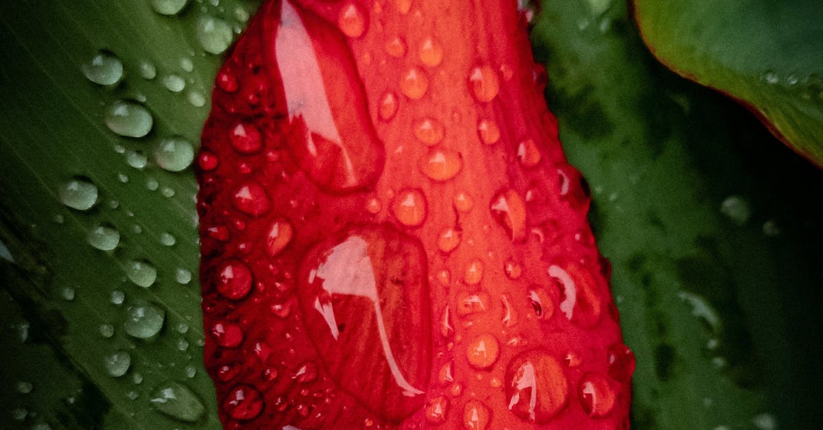 吳德榮提醒 9日前天氣炎熱 下週午後降雨機率提升