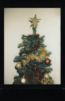 这棵充满活力的圣诞树装饰着色彩缤纷的饰品和星星顶饰，非常适合节日庆祝