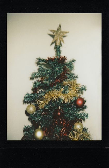 Vibrant Christmas tree adorned with colorful ornaments and a star topper, perfect for holiday celebrations.