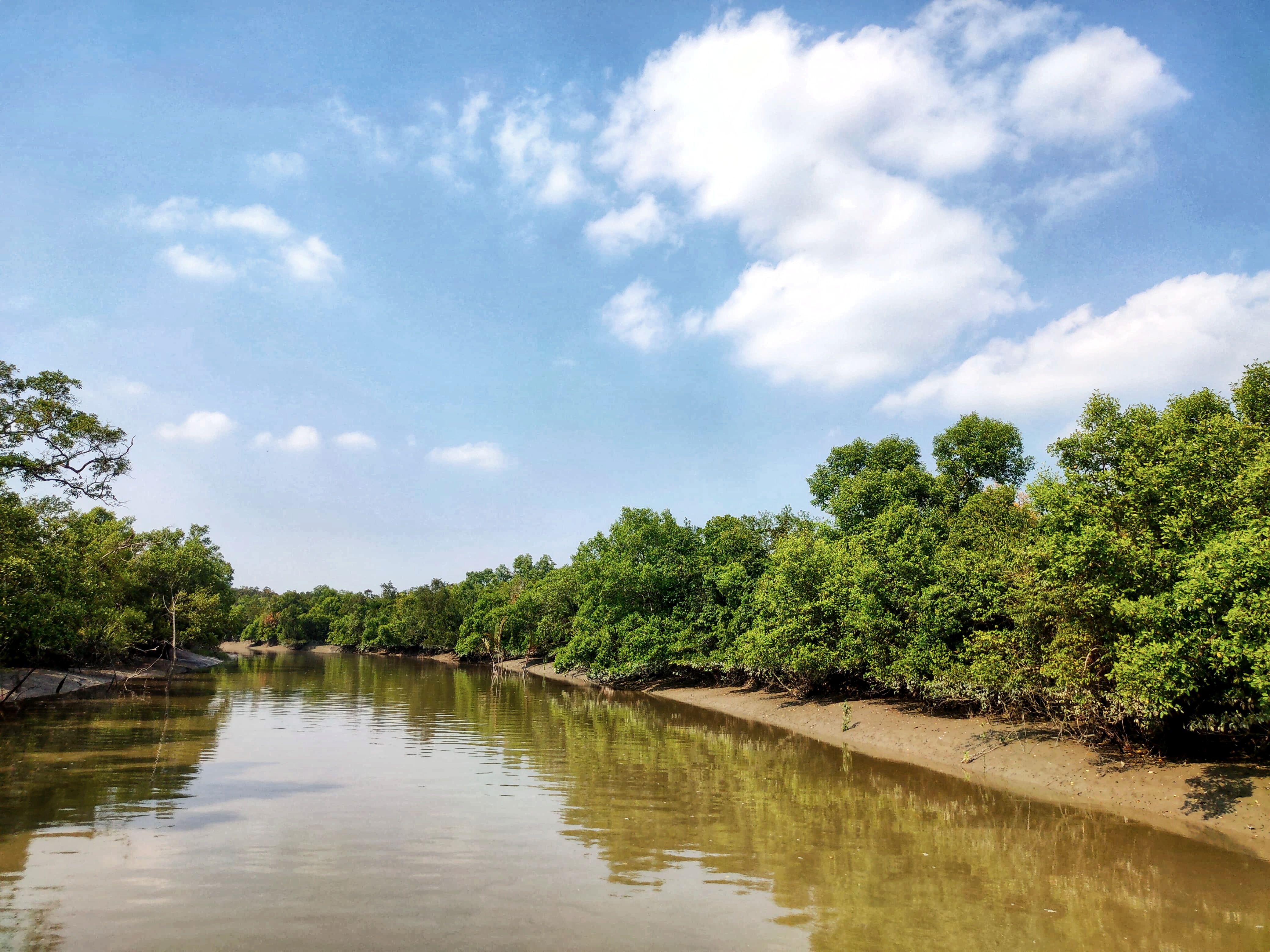 Tours to Sundarbans