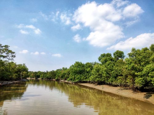 Sundarban