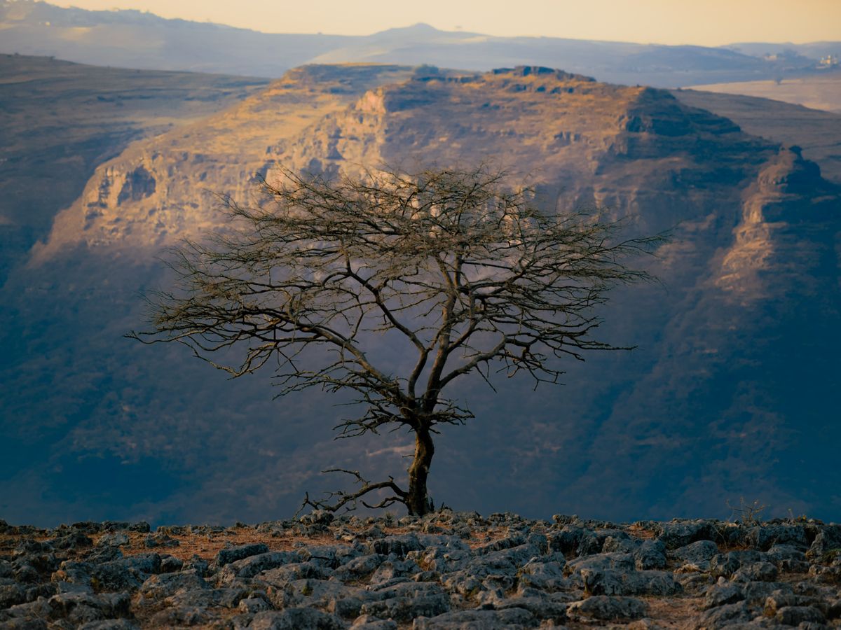 2 Day SUP Safari & Hiking MICRO Retreat, Cape Town, South Africa 3