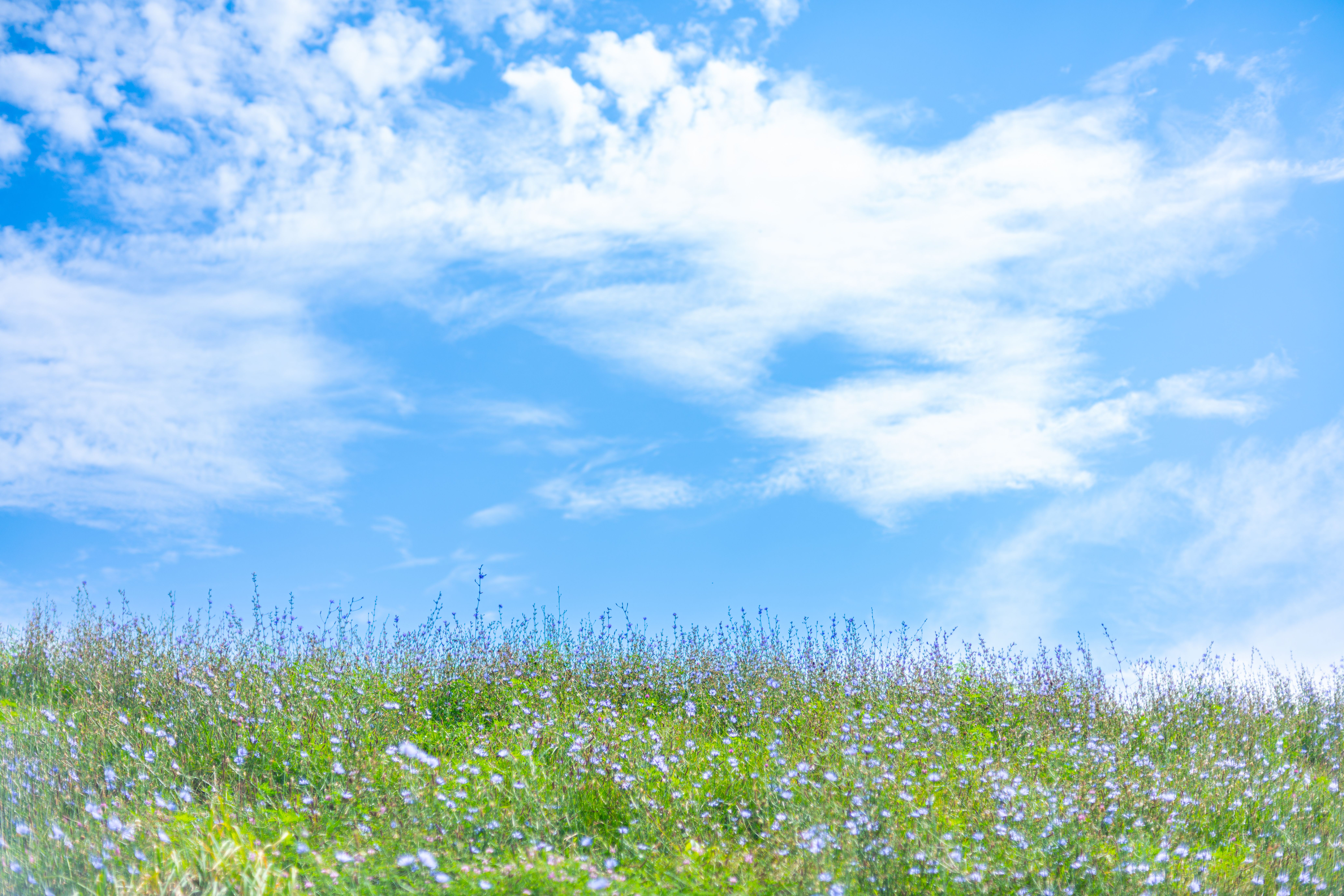 AOFOTO Fotohintergrund Frühling – 1.5x1.5 M Vinyl Mit Regenbogen, Gras, Himmel & Wolken Für Baby- & Kinderfotos