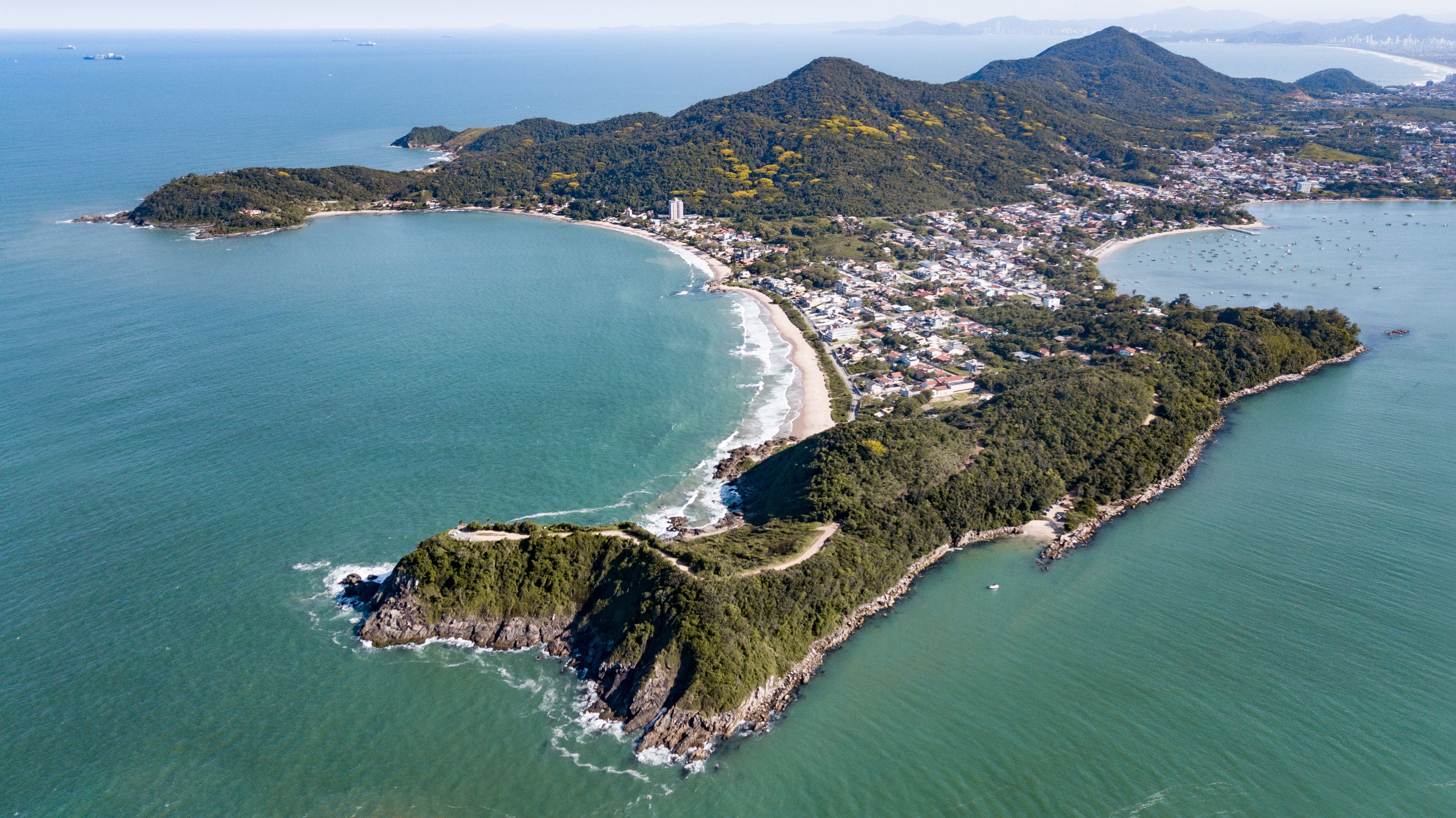 Coastal walking trail through Atlantic Forest in Santa Catarina